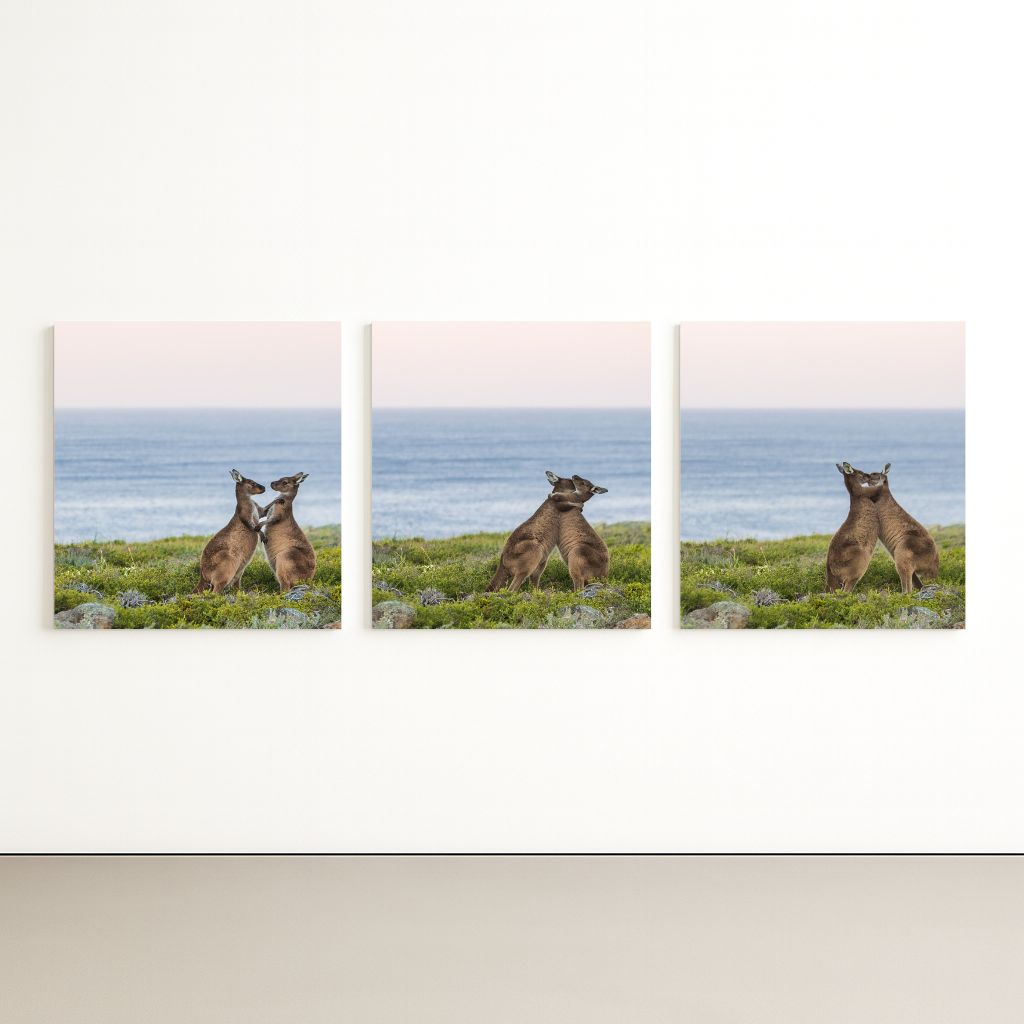 The Proposal (Triptych)