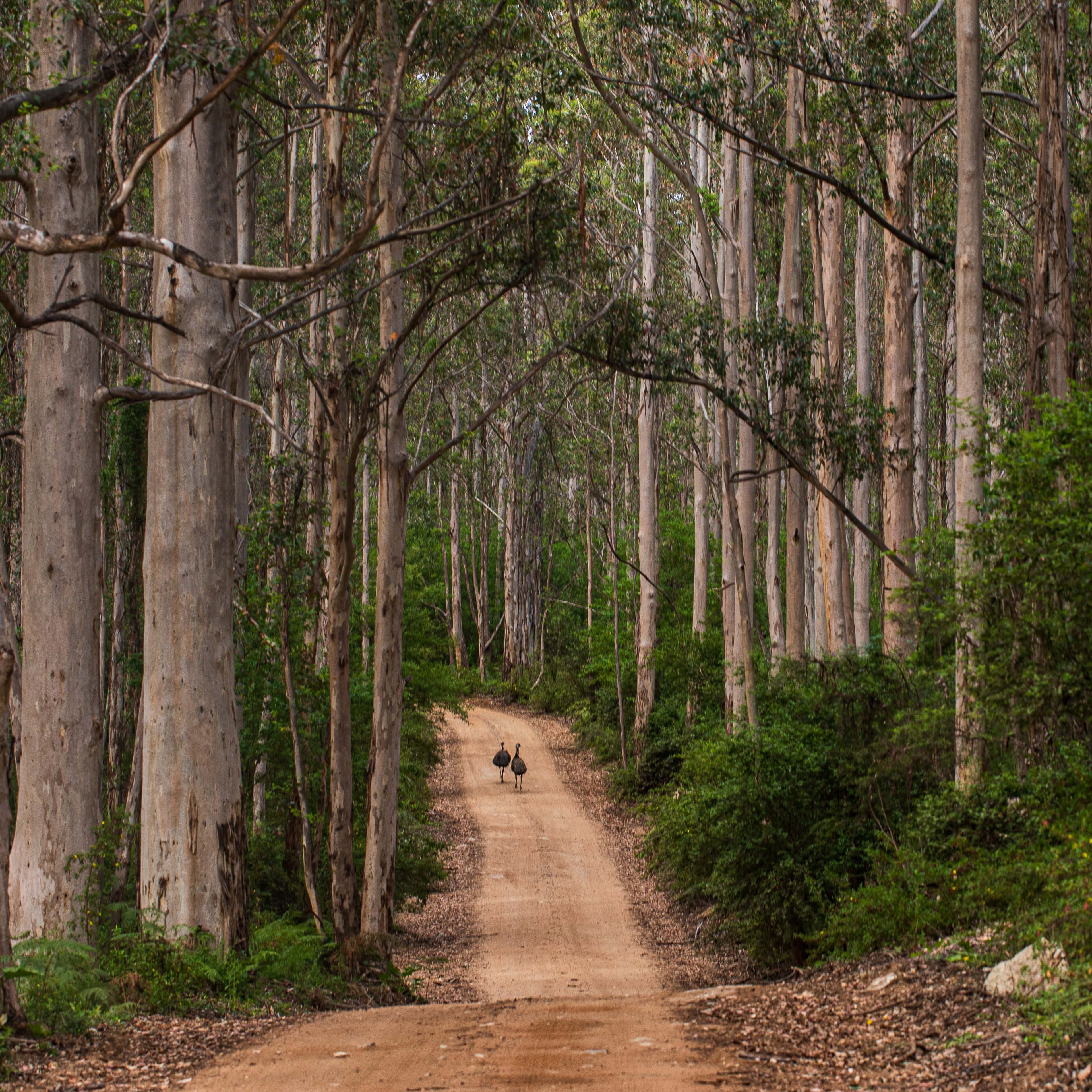 Side by Side (Square)