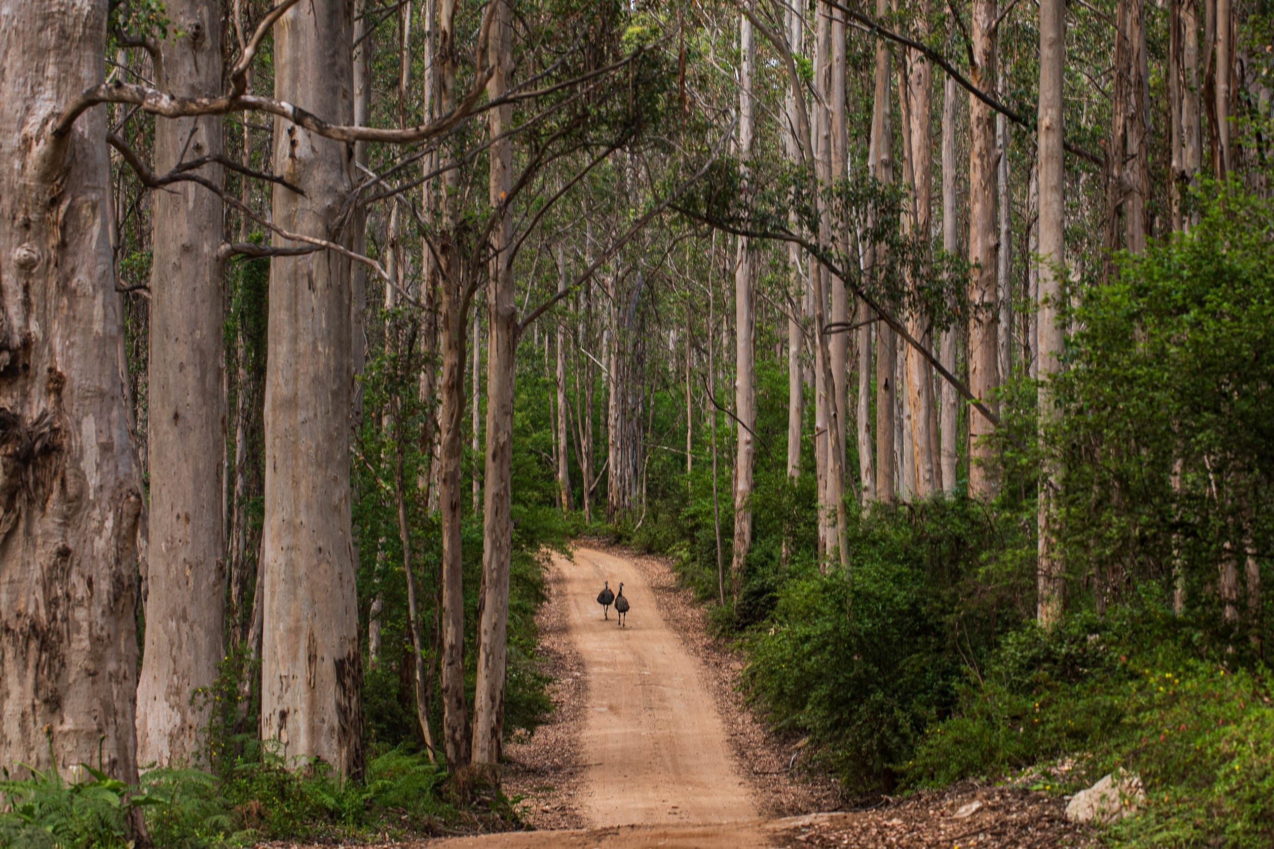 Side by Side (Landscape)