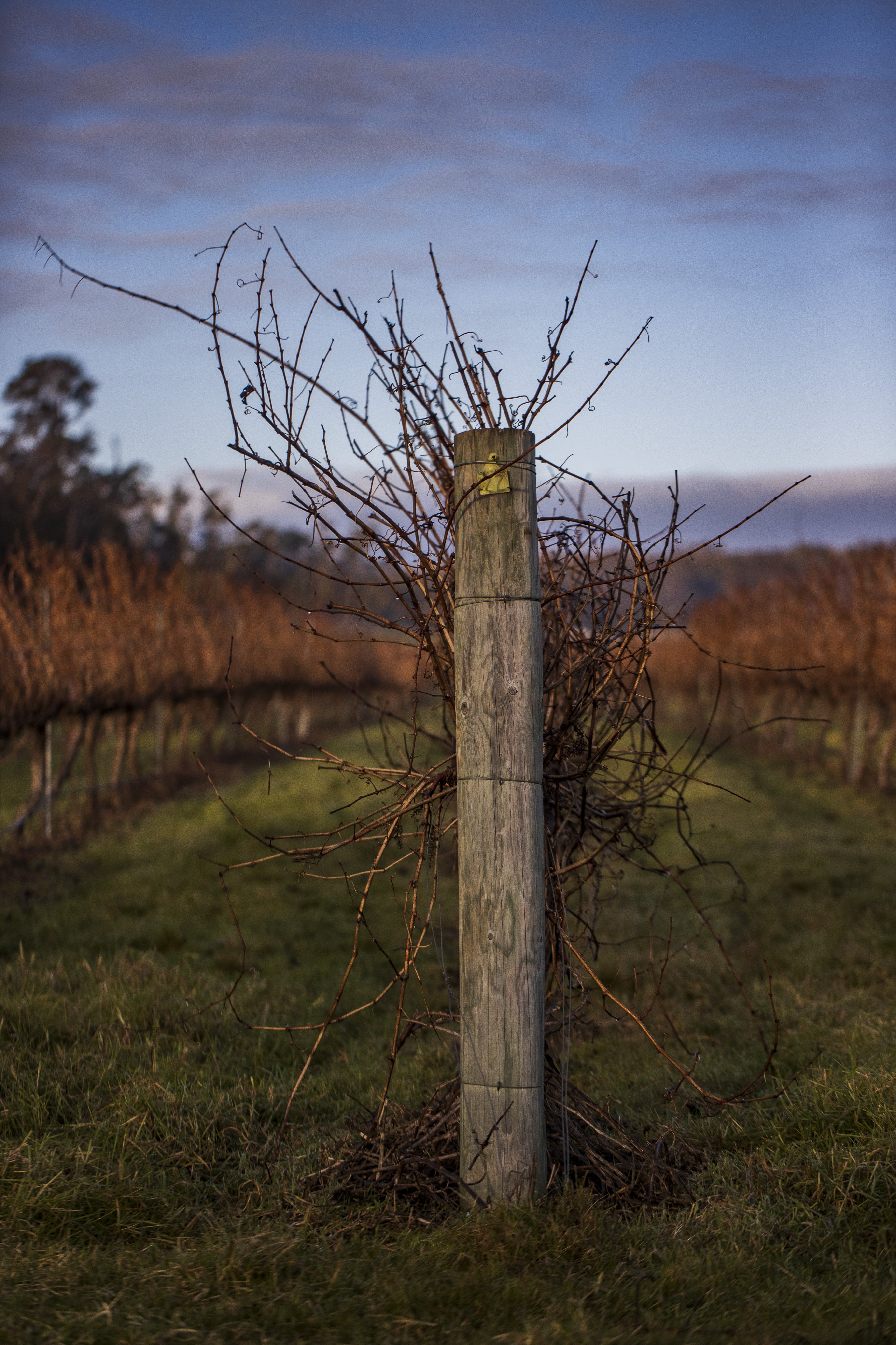 Messy Hair Don't Care